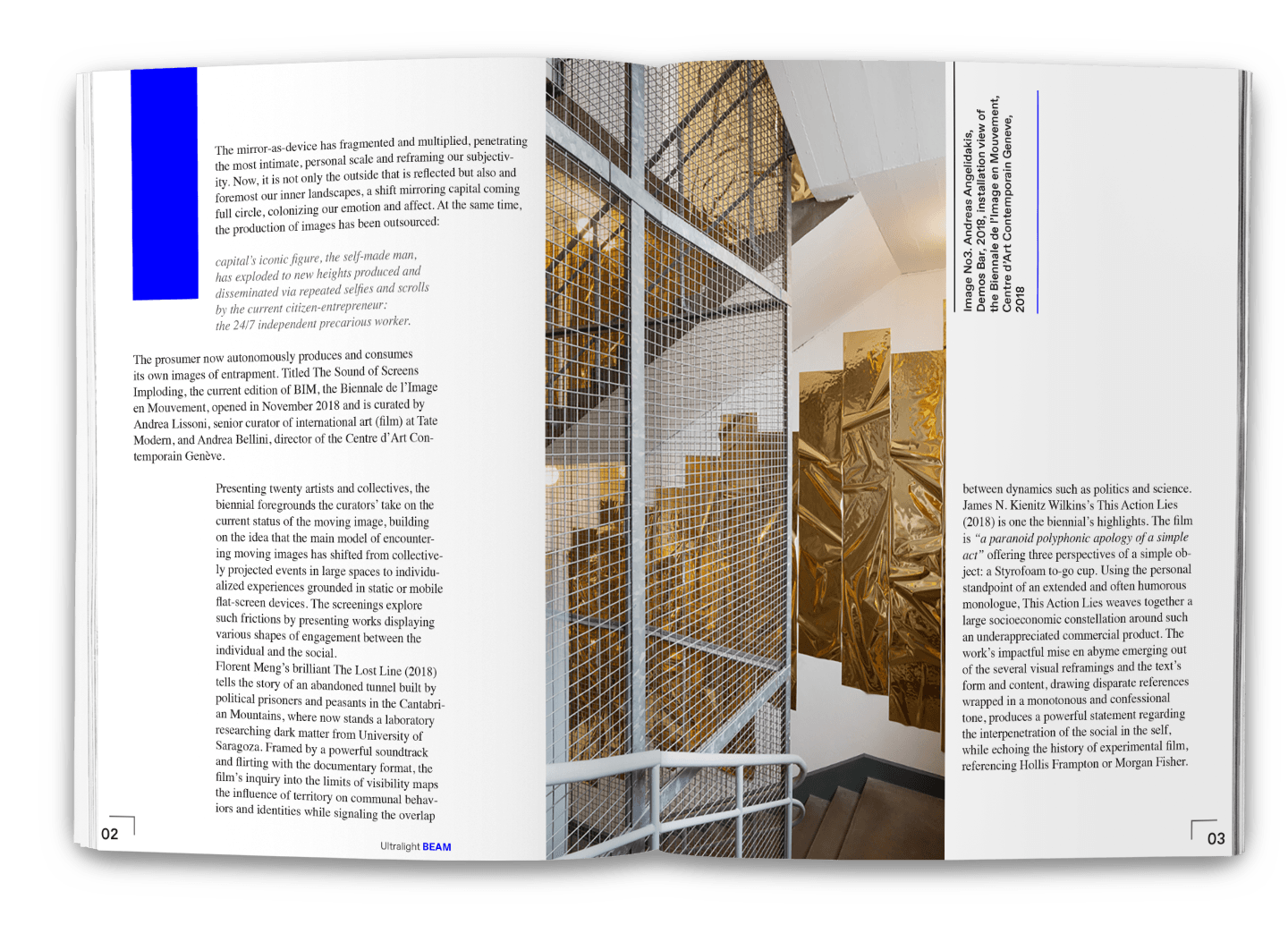 Content of the Biennial's article